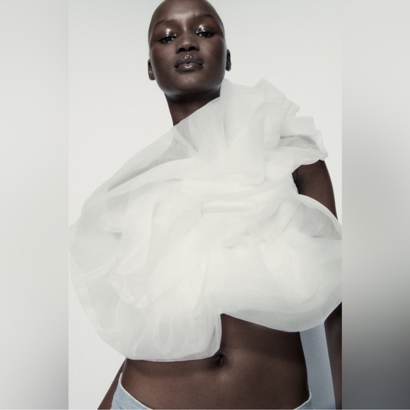 Zara Asymmetrical Organza Top - Picture 8 of 14